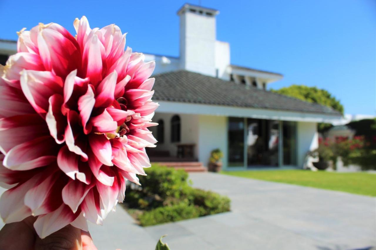 Santo Refugio Heritage Hotel San Pedro Cholula 외부 사진