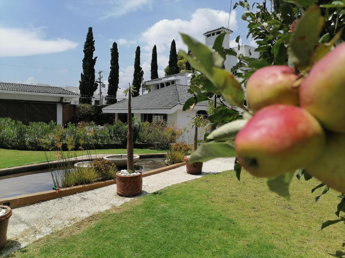 Santo Refugio Heritage Hotel San Pedro Cholula 외부 사진